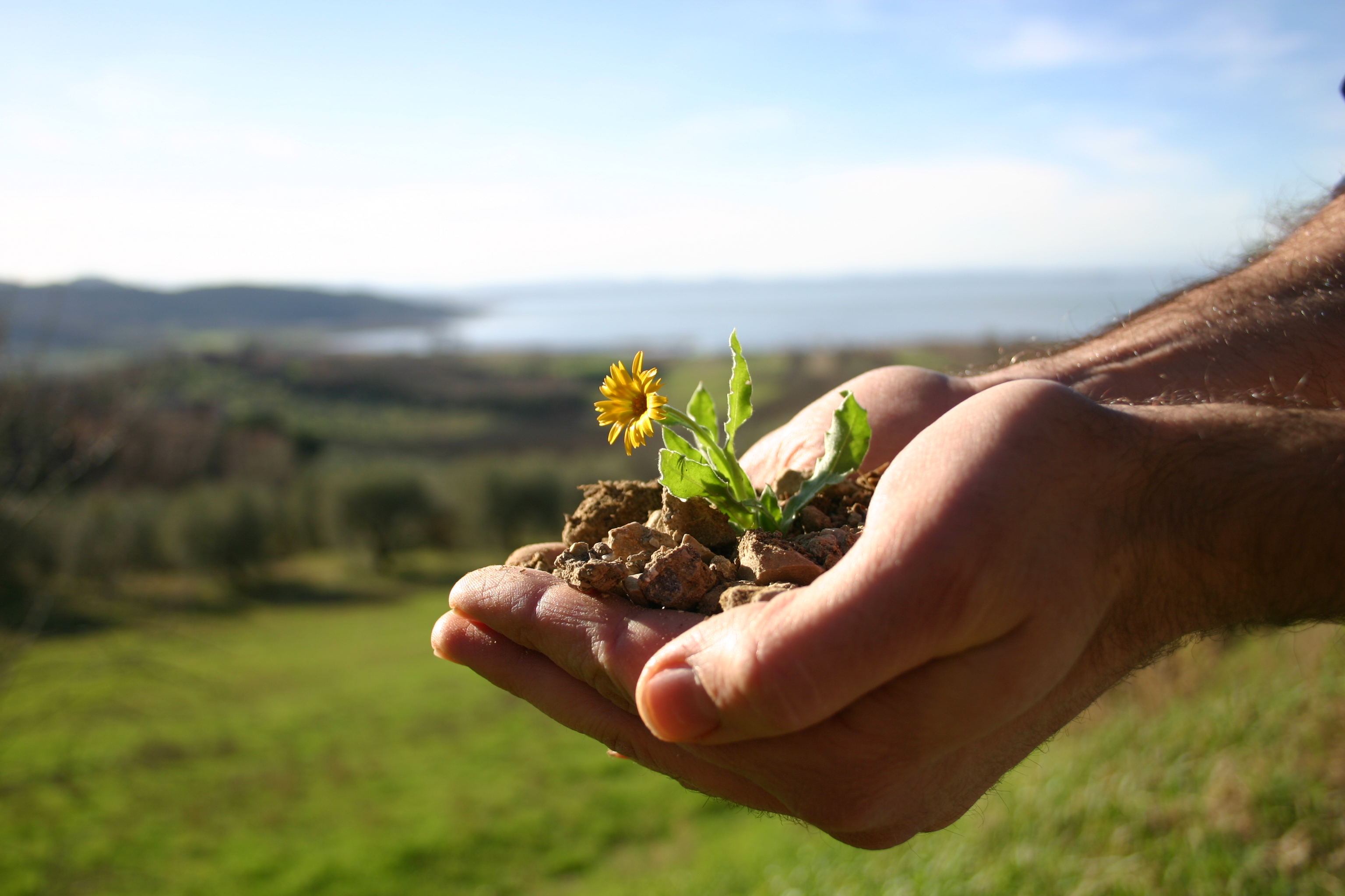 The Idea of Umbrian Heart