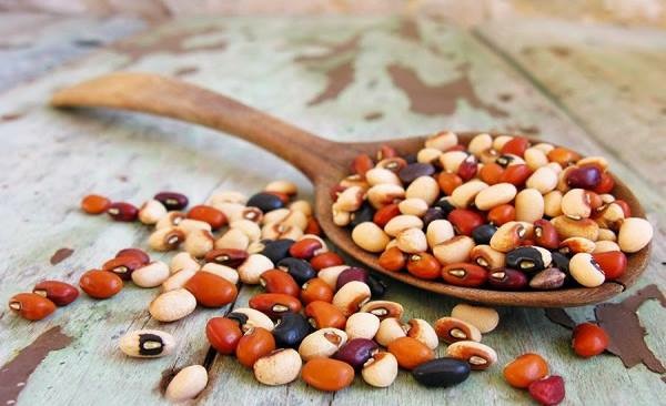 Legumes in our culture